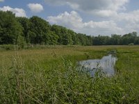 NL, Noord-Brabant, Tilburg, Nieuwe Tiend 15, Saxifraga-Jan van der Straaten