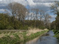 NL, Noord-Brabant, Tilburg, Nieuwe Tiend 30, Saxifraga-Marijke Verhagen