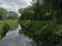 NL, Noord-Brabant, Tilburg, Zandleij 2, Saxifraga-Jan van der Straaten