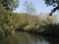 NL, Noord-Brabant, Valkenswaard, Borkel, Dommel 1, Saxifraga-Jan van der Straaten