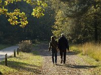 NL, Noord-Brabant, Valkenswaard, Borkel, Dommelbeemden 2, Saxifraga-Jan van der Straaten