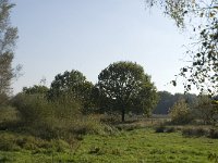 NL, Noord-Brabant, Valkenswaard, Borkel, Malpiebeemden 3, Saxifraga-Jan van der Straaten