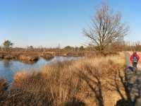 NL, Noord-Brabant, Valkenswaard, De Malpie 16, Saxifraga-Tom Heijnen