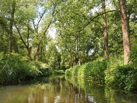 NL, Noord-Brabant, Valkenswaard, Dommel in De Malpie 21, Saxifraga-Tom Heijnen