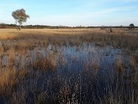 NL, Noord-Brabant, Valkenswaard, Dommel in De Malpie 22, Saxifraga-Tom Heijnen