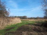 NL, Noord-Brabant, Valkenswaard, Dommel valley in De Malpie 3, Saxifraga-Tom Heijnen