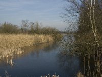 NL, Noord-Brabant, Valkenswaard, Grevenschutsven 14, Saxifraga-Jan van der Straaten