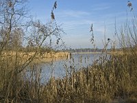 NL, Noord-Brabant, Valkenswaard, Grevenschutsven 5, Saxifraga-Marijke Verhagen