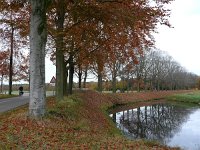 NL, Noord-Brabant, Valkenswaard, Patersgronden 1, Saxifraga-Tom Heijnen