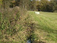 NL, Noord-Brabant, Valkenswaard, Pelterheggen 13, Saxifraga-Jan van der Straaten