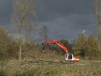 NL, Noord-Brabant, Valkenswaard, Pelterheggen 24, Saxifraga-Jan van der Straaten