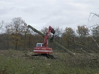 NL, Noord-Brabant, Valkenswaard, Pelterheggen 35, Saxifraga-Jan van der Straaten