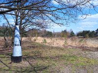 NL, Noord-Brabant, Valkenswaard, Plateaux-Hageven 20, Saxifraga-Tom Heijnen