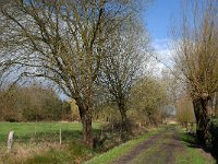 NL, Noord-Brabant, Valkenswaard, Schaftse Brug 1, Saxifraga-Jan van der Straaten