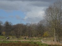 NL, Noord-Brabant, Valkenswaard, Schaftse Brug 3, Saxifraga-Marijke Verhagen