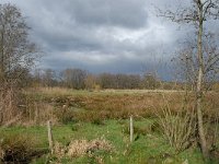 NL, Noord-Brabant, Valkenswaard, Schaftse Brug 4, Saxifraga-Jan van der Straaten