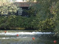 NL, Noord-Brabant, Valkenswaard, Venbergse watermolen 2, Saxifraga-Jan van der Straaten