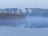 NL, Noord-Brabant, Valkenswaard, Visvijvers in Landgoed Valkenhorst 18, Saxifraga-Tom Heijnen