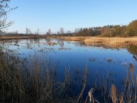 NL, Noord-Brabant, Valkenswaard, Visvijvers in Landgoed Valkenhorst 26, Saxifraga-Tom Heijnen