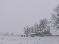 NL, Noord-Brabant, Veldhoven, Berkt 4, Saxifraga-Tom Heijnen