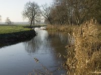 NL, Noord-Brabant, Veldhoven, De Hogt, Dommel 11, Saxifraga-Jan van der Straaten