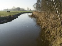 NL, Noord-Brabant, Veldhoven, De Hogt, Dommel 14, Saxifraga-Jan van der Straaten