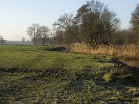 NL, Noord-Brabant, Veldhoven, De Hogt, Dommel 9, Saxifraga-Jan van der Straaten