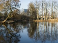 NL, Noord-Brabant, Veldhoven, De Hogt, Kempense Plassen 5, Saxifraga-Jan van der Straaten