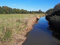 NL, Noord-Brabant, Veldhoven, Dommel valley near Kempense Plassen 1, Saxifraga-Tom Heijnen