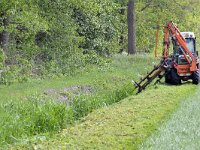 NL, Noord-Brabant, Veldhoven, near Halfmijl 1, Saxifraga-Tom Heijnen