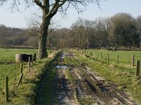 NL, Noord-Brabant, Waalre, De Elshouters 1, Saxifraga-Jan van der Straaten