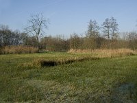 NL, Noord-Brabant, Waalre, De Elshouters 10, Saxifraga-Jan van der Straaten