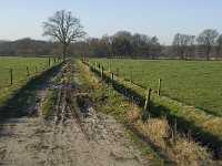 NL, Noord-Brabant, Waalre, De Elshouters 11, Saxifraga-Jan van der Straaten