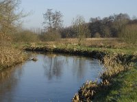 NL, Noord-Brabant, Waalre, De Elshouters, Dommel 3, Saxifraga-Jan van der Straaten