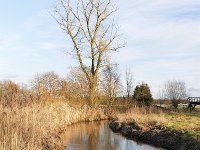 NL, Noord-Brabant, Waalre, Dommel in De Elshouters 5, Saxifraga-Tom Heijnen