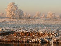 NL, Noord-Brabant, Waalre, Dommel valley near Heuvelsche Putten 6, Saxifraga-Tom Heijnen