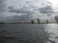 NL, Noord-Brabant, Waalwijk, Bergsche Maas 5, Saxifraga-Willem van Kruijsbergen