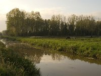 NL, Noord-Brabant, Waalwijk, De Dullaard 16, Saxifraga-Jan van der Straaten