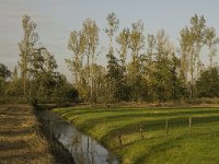 NL, Noord-Brabant, Waalwijk, De Dullaard 5, Saxifraga-Jan van der Straaten