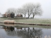 NL, Noord-Brabant, Waalwijk, near Waalwijk 6, Saxifraga-Tom Heijnen