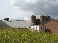 NL, Noord-Brabant, Zundert, De Reten 2, Saxifraga-Jan van der Straaten