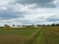 NL, Noord-Brabant, Zundert, De Reten 4, Saxifraga-Jan van der Straaten