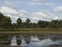 NL, Noord-Brabant, Zundert, Oude Buisse Heide 9, Saxifraga-Jan van der Straaten