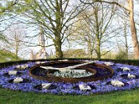 NL, Noord-Holland, Alkmaar, De Hout 4, Saxifraga-Foto Fitis-Sytske Dijksen
