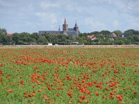 NL, Noord-Holland, Alkmaar, Driehuizen 1, Saxifraga-Foto Fitis-Sytske Dijksen