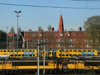NL, Noord-Holland, Amsterdam 15, Saxifraga-Foto Fitis-Sytske Dijksen