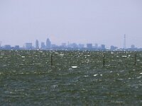 NL, Noord-Holland, Amsterdam 16, Saxifraga-Foto Fitis-Sytske Dijksen