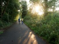 NL, Noord-Holland, Amsterdam, Kalfjeslaan 2, Saxifraga-Foto Fitis-Sytske Dijksen