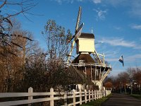 NL, Noord-Holland, Amsterdam, Weesp 2, Saxifraga-Hans Dekker