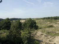 NL, Noord-Holland, Bloemendaal, Zuid Kennemerland 13, Saxifraga-Willem van Kruijsbergen